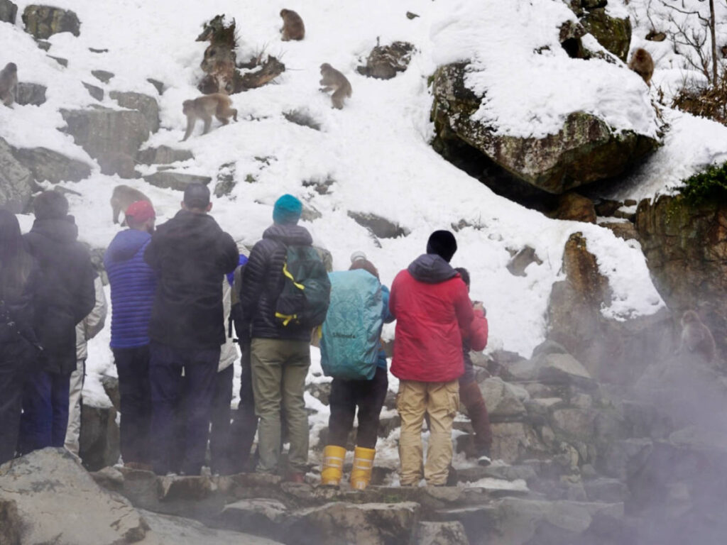 A group of tourists taking photos of the Japanese Snow Monkeys