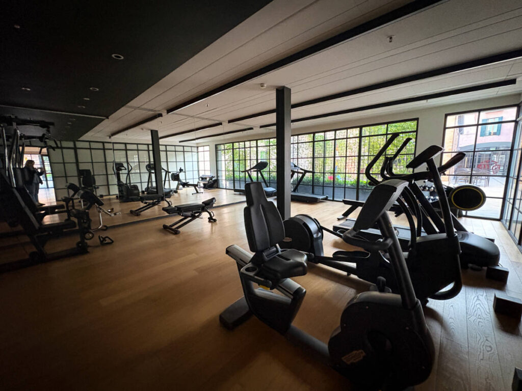 View of the variety of equipment in the gym of NH Collection Murano Villa