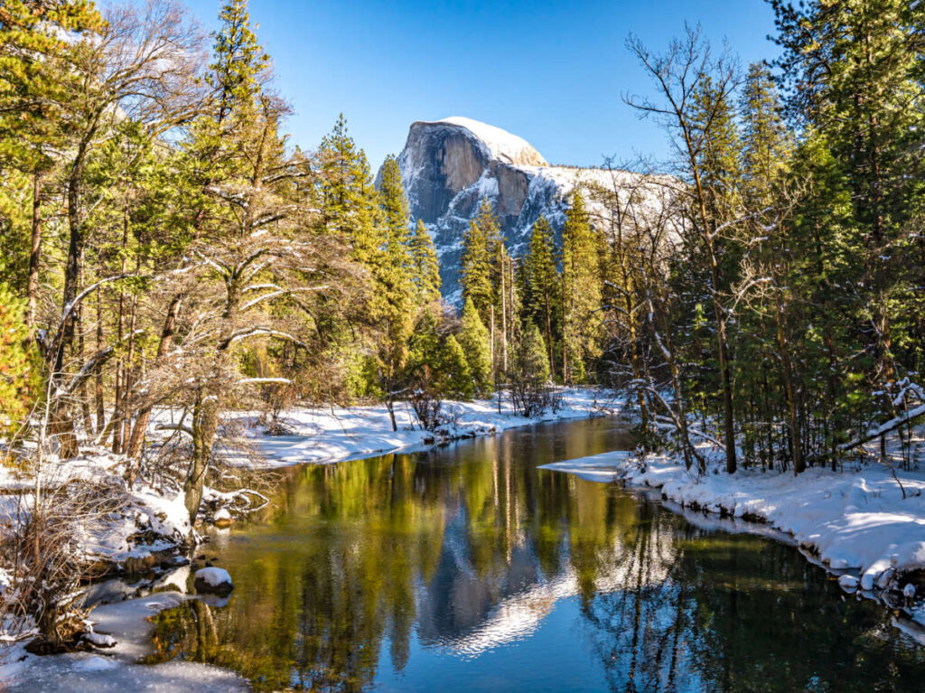 View of the Half Dome peeking through the trees around the Merced River