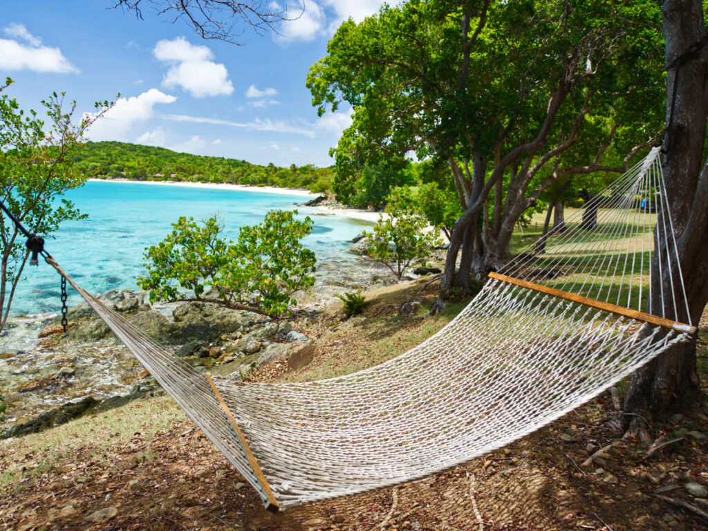 A hammock along the shoreline with trees around