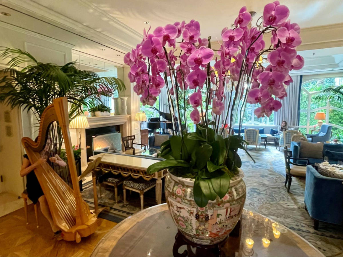 A harpist playing near an orchid arrangement at The Peninsula
