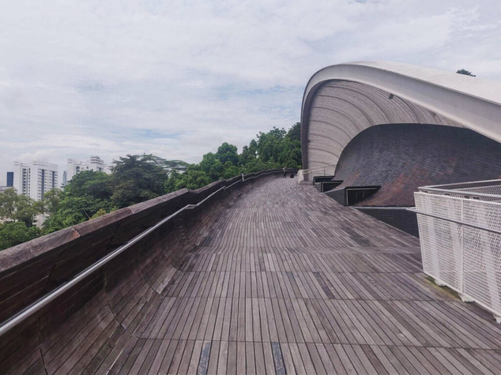 View of the Henderson Wave Bridge