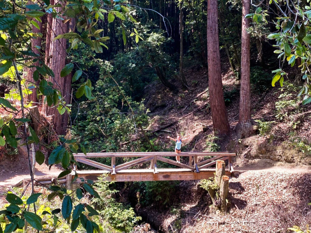 A hiker enjoying on the bridge in the Forest Of Nisene Marks State Park