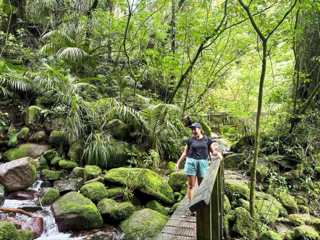 The author's partner on the bridge over the waterfall surrounded by greenery