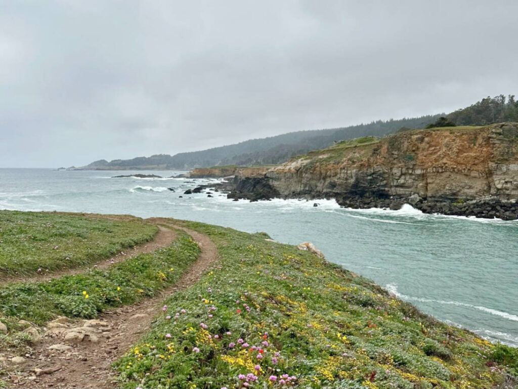 The hiking trails overlooking the Pacific Ocean at Salt Point State Park