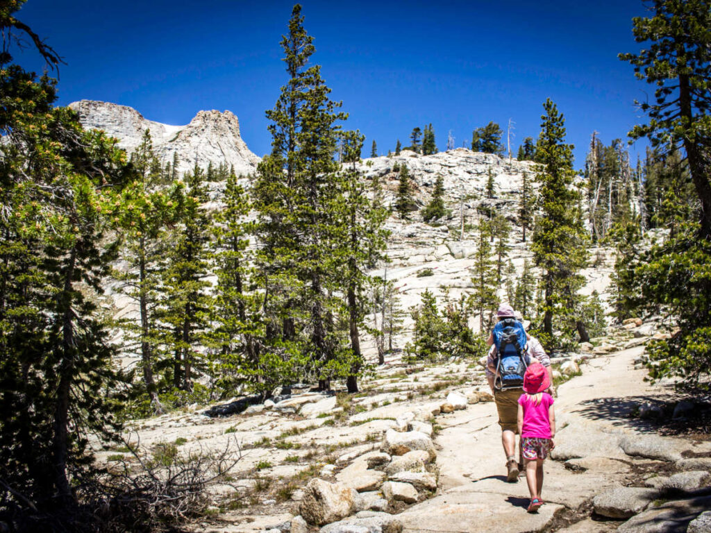 A dad with his kids hiking with the scenic view of the rocky mountains and pine trees in Yosemite National Park