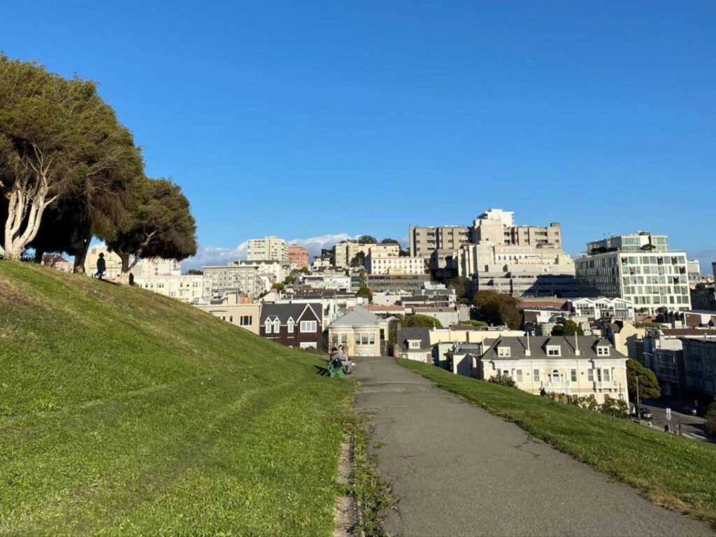 View of the residential area from the hilly Alta Plaza Park