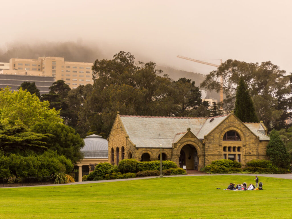 People having a picnic on Hippie Hill on a foggy day