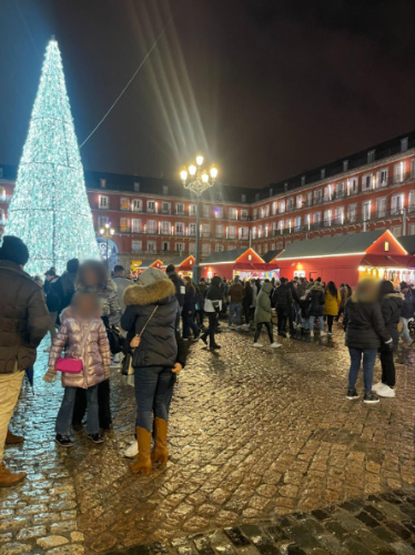 The crowd wandering around the holiday market in Plaza Mayor