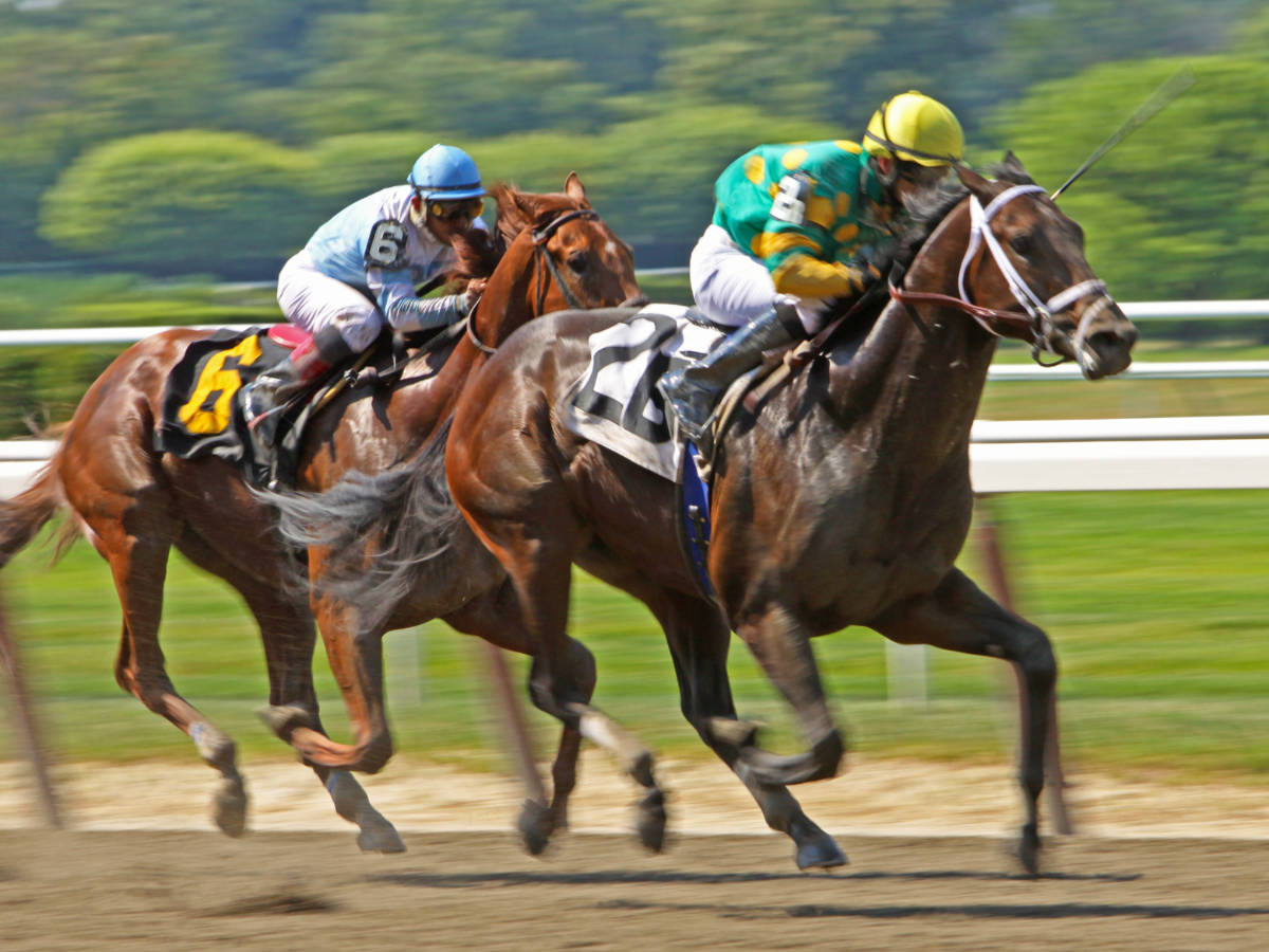 Horse racing at Belmont Racetrack