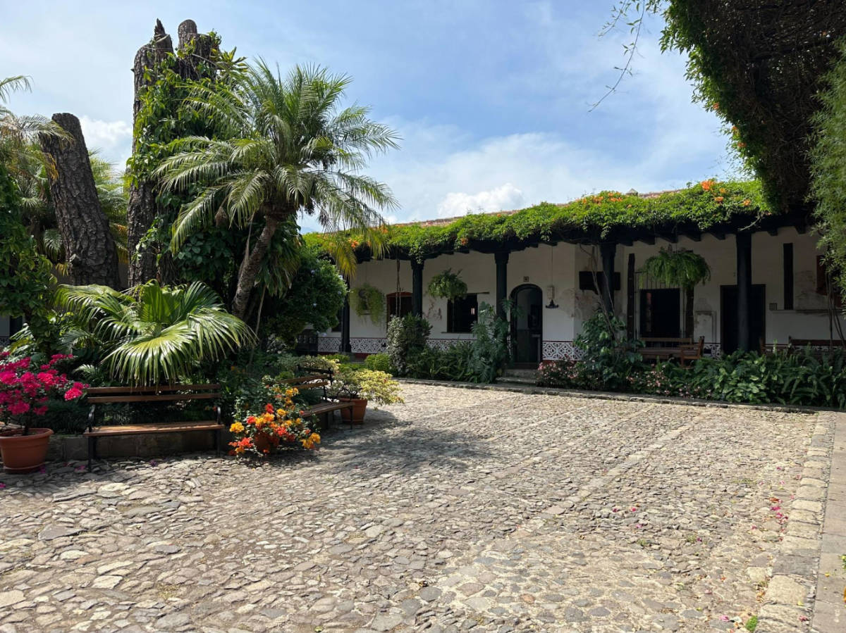 View of plants surrounding the Hotel Posada de Don Rodrigo Antigua