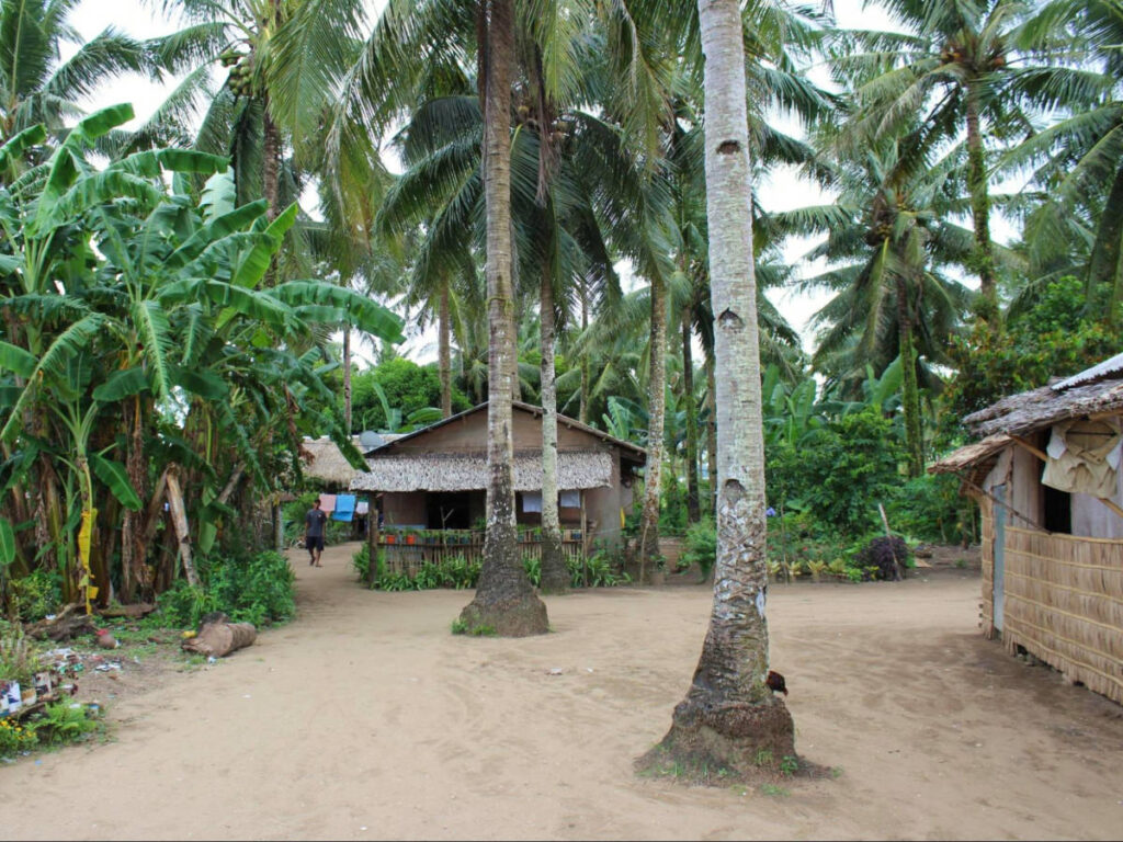 Bahay kubos surrounded by Coconut trees and Bananas in Pambujan, Philippines
