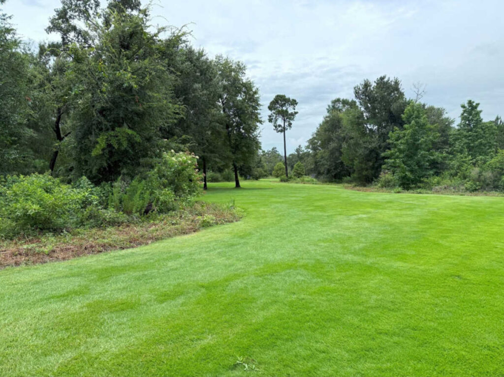 View of Memorial Park featuring lush green grass and surrounding trees