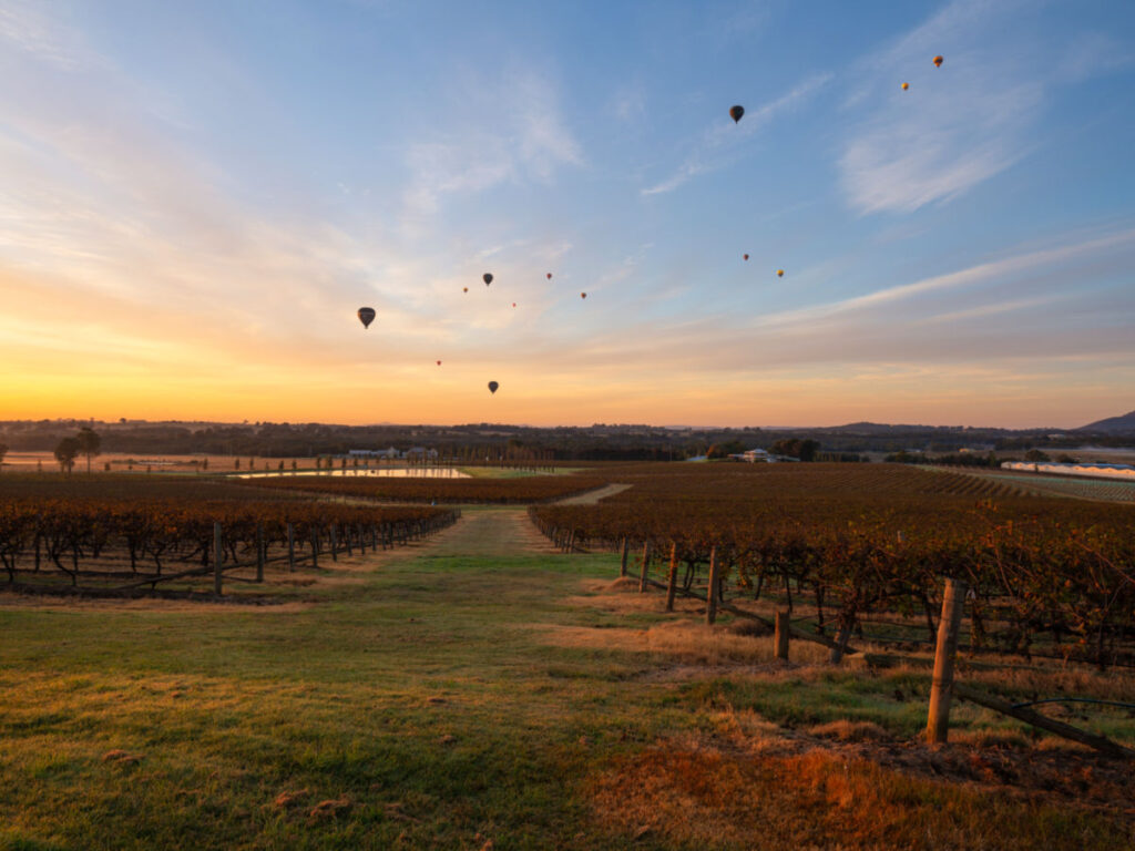 Hot air balloons over vineyards in Pokolbin wine region at sunrise, Hunter Valley