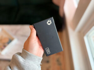 INIU Portable Charger