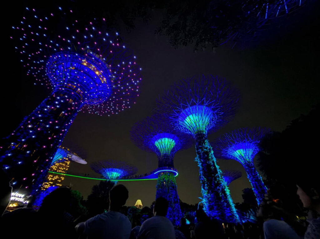 Perspective view of the magical glow of illuminated Supertrees at the Gardens By the Bay