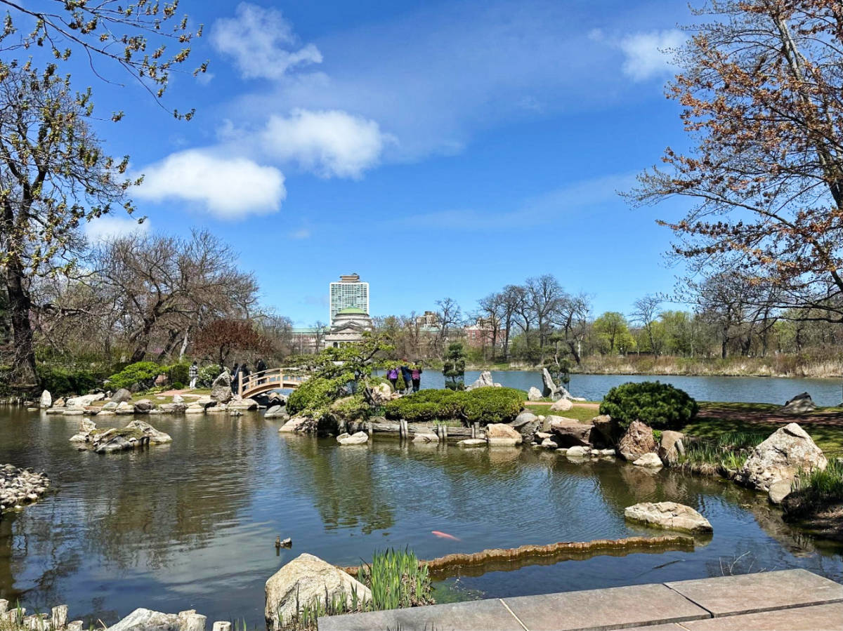 View at the Jackson Park’s Japanese Garden in the morning