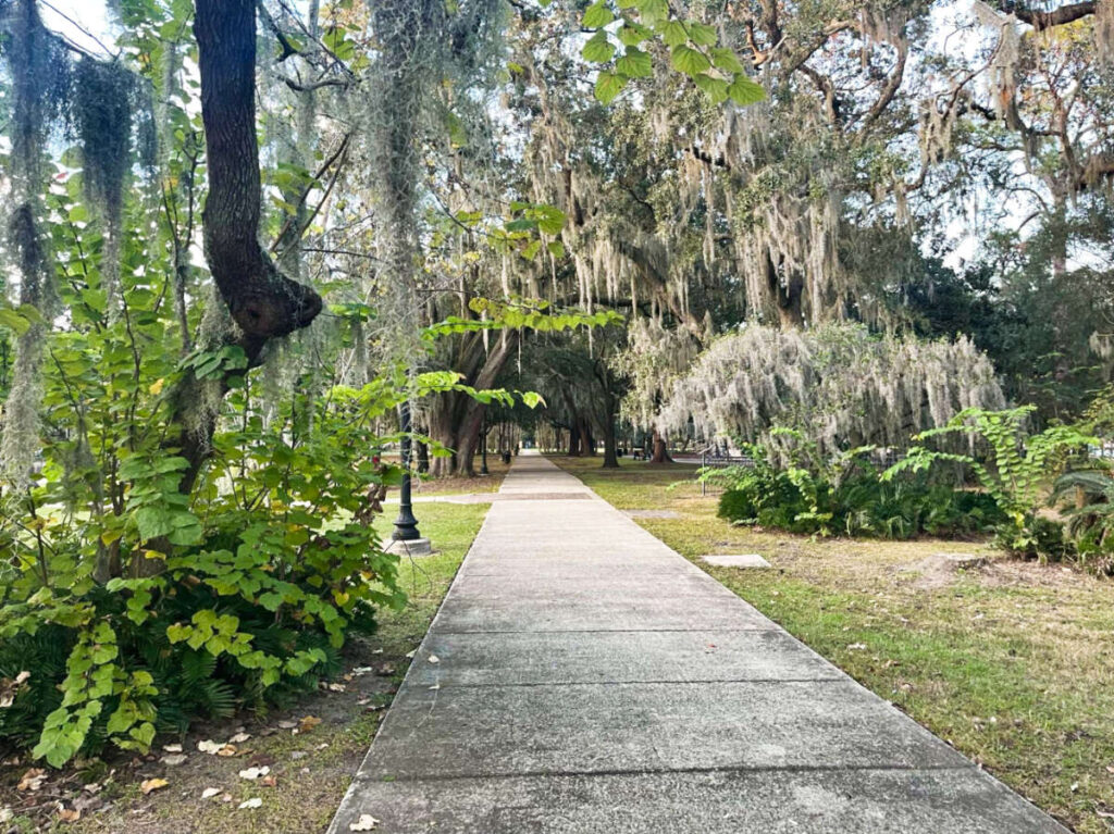 View of the lush greenery around a park in Jacksonville