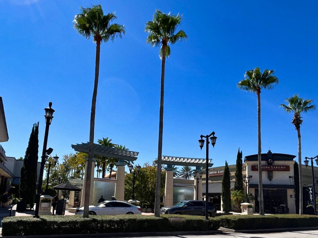 View of the establishments and the palm trees around The St. Johns Town Center