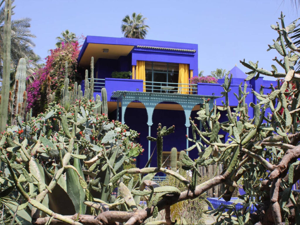 View of the blues and yellows exterior of the Jardin Majorelle behind the cactus