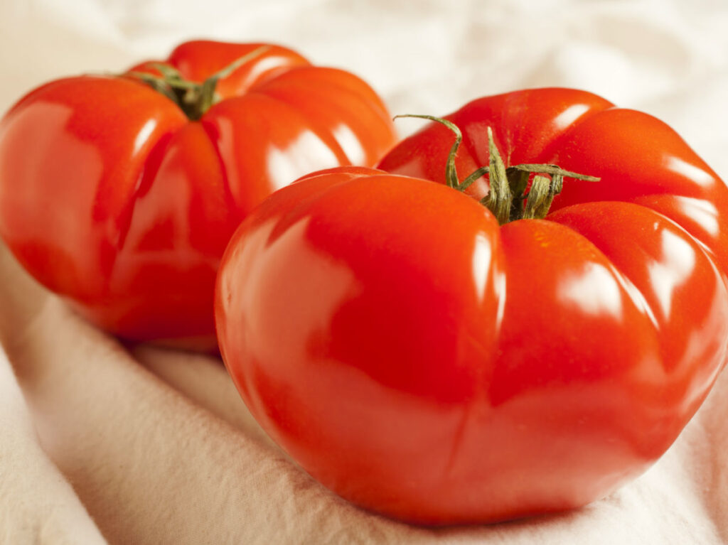 A close up shot of New Jersey Beefsteak Tomatoes