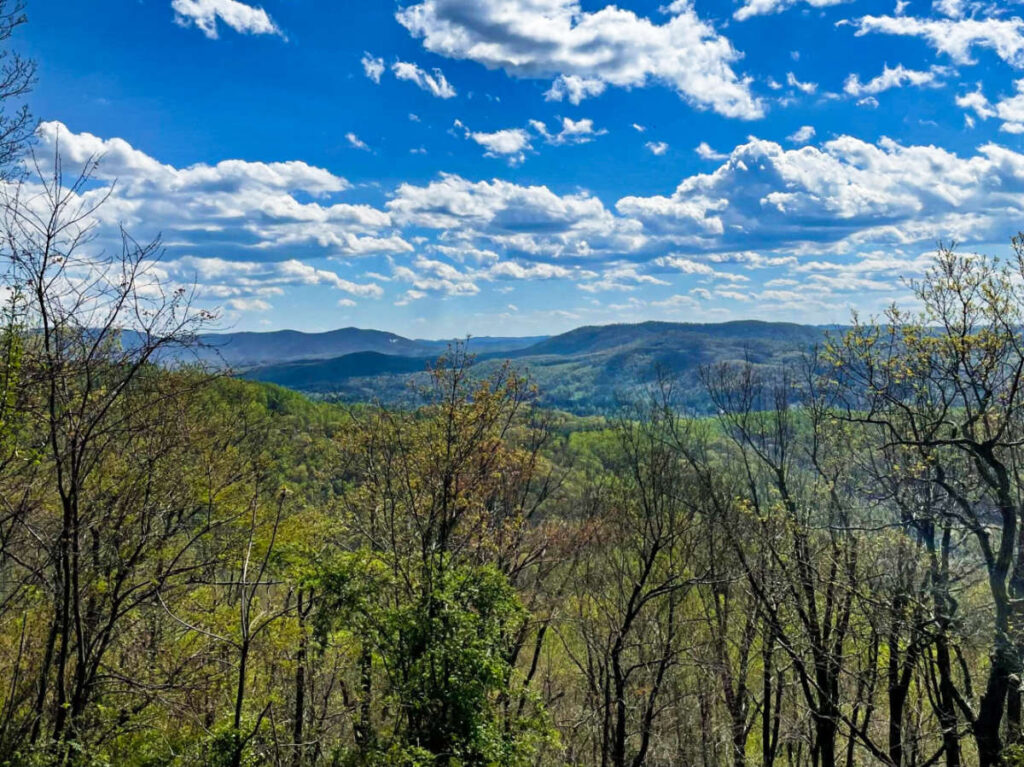 Scenic overlooking view of the greenery around Jump Off Rock