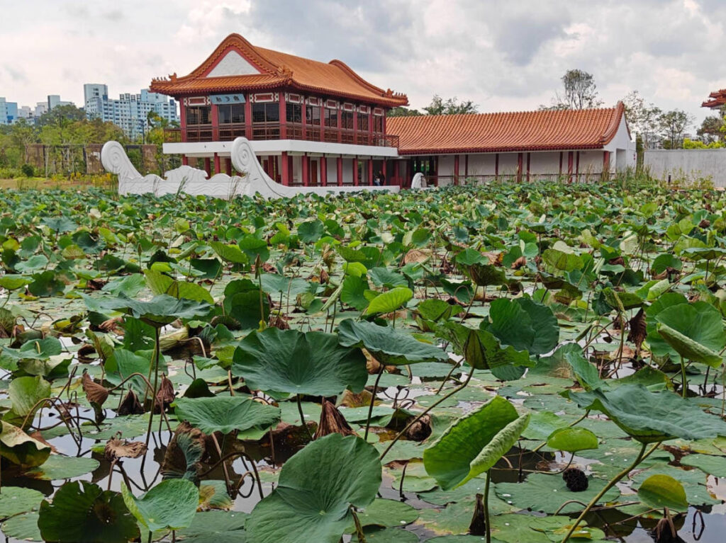 The Stone Boat and Tea House Pavilion from the outside