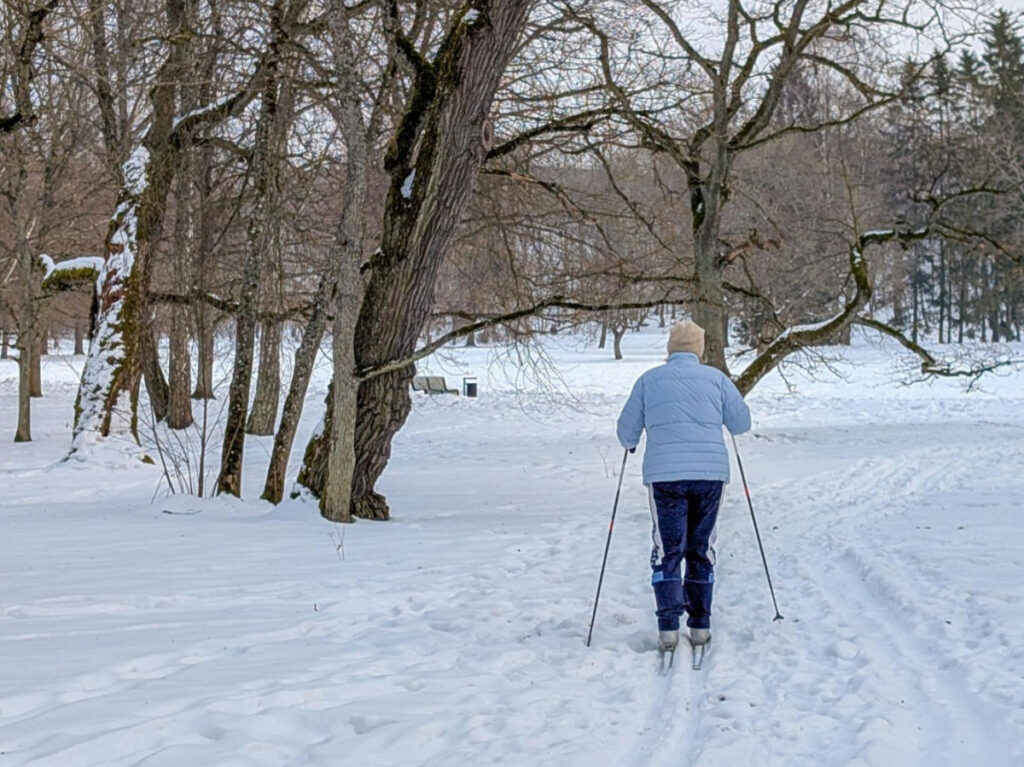 A skier passes through trees in Kadriorg Park