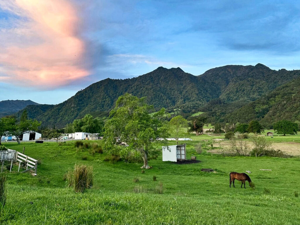 View of the Kaimai Mountain range from the farm at sunset