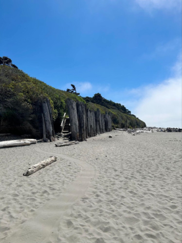View of the coastline of Kalaloch Beach