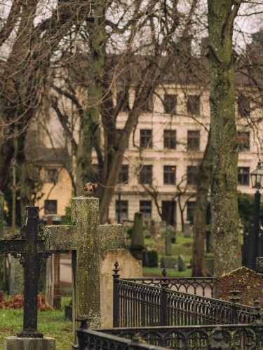 Moss-covered stone crosses among the graves of Katarina Kyrkogård cemetery