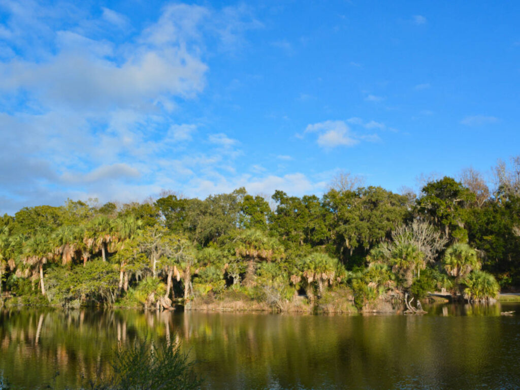 View of the lush shoreline reflecting on the water at Kathryn Abbey Hanna Park