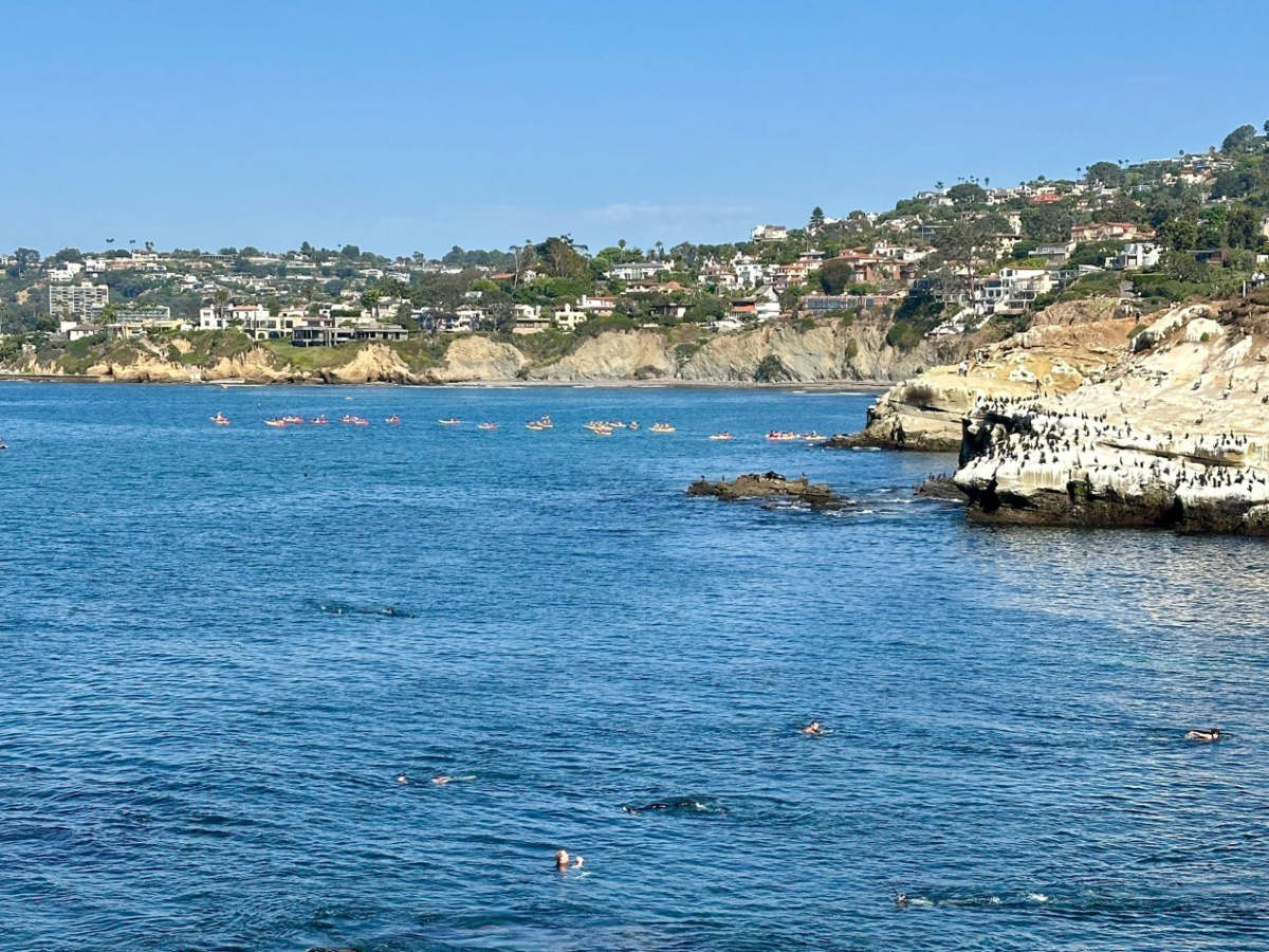 Overlooking view of the cliff town and kayaks in La Jolla Cove