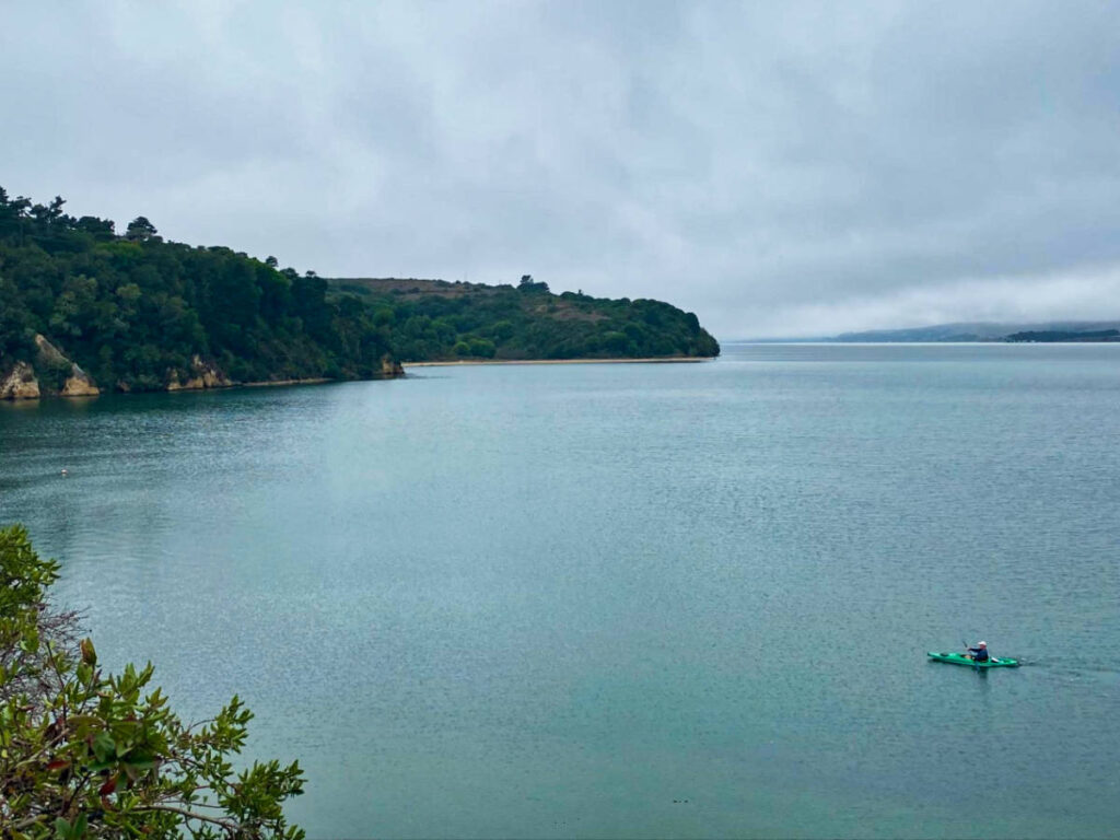 Aerial view of a kayaker enjoying the calm waters of Tomales Bay