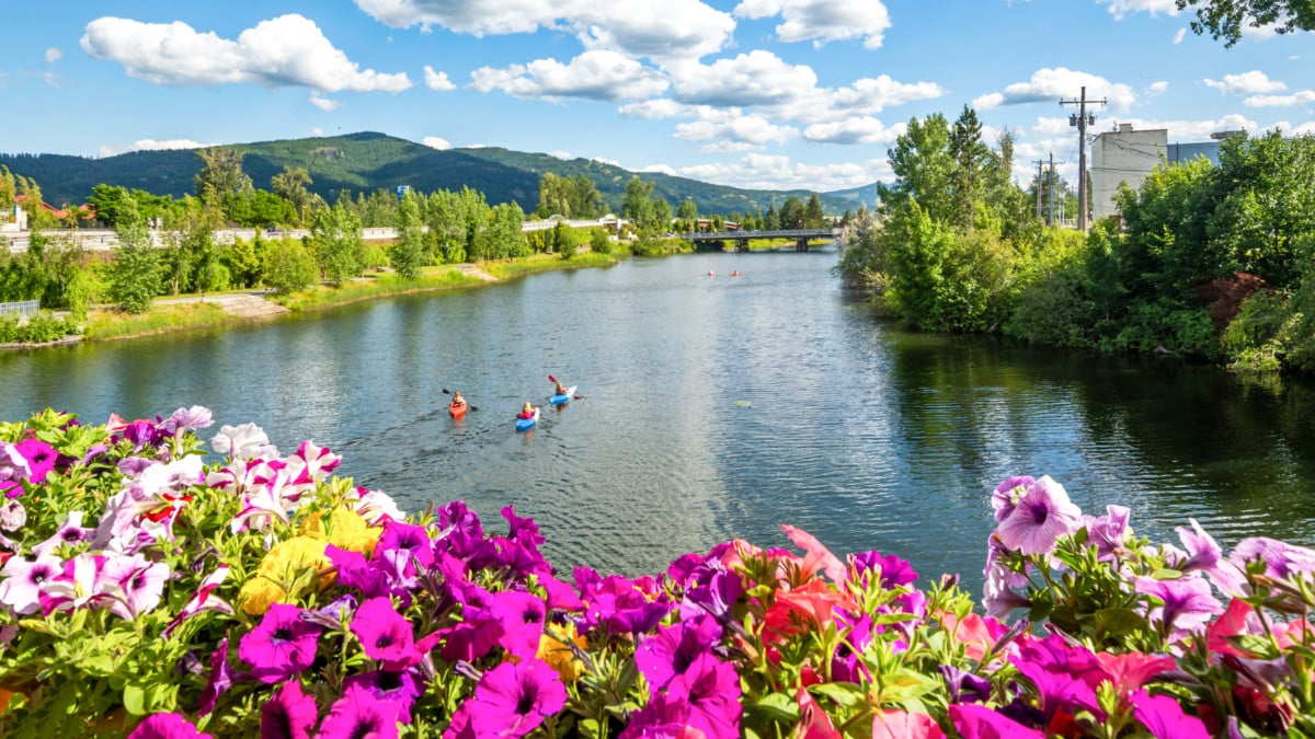 View of the beautiful flowers and the kayakers on Lake Pend Oreille