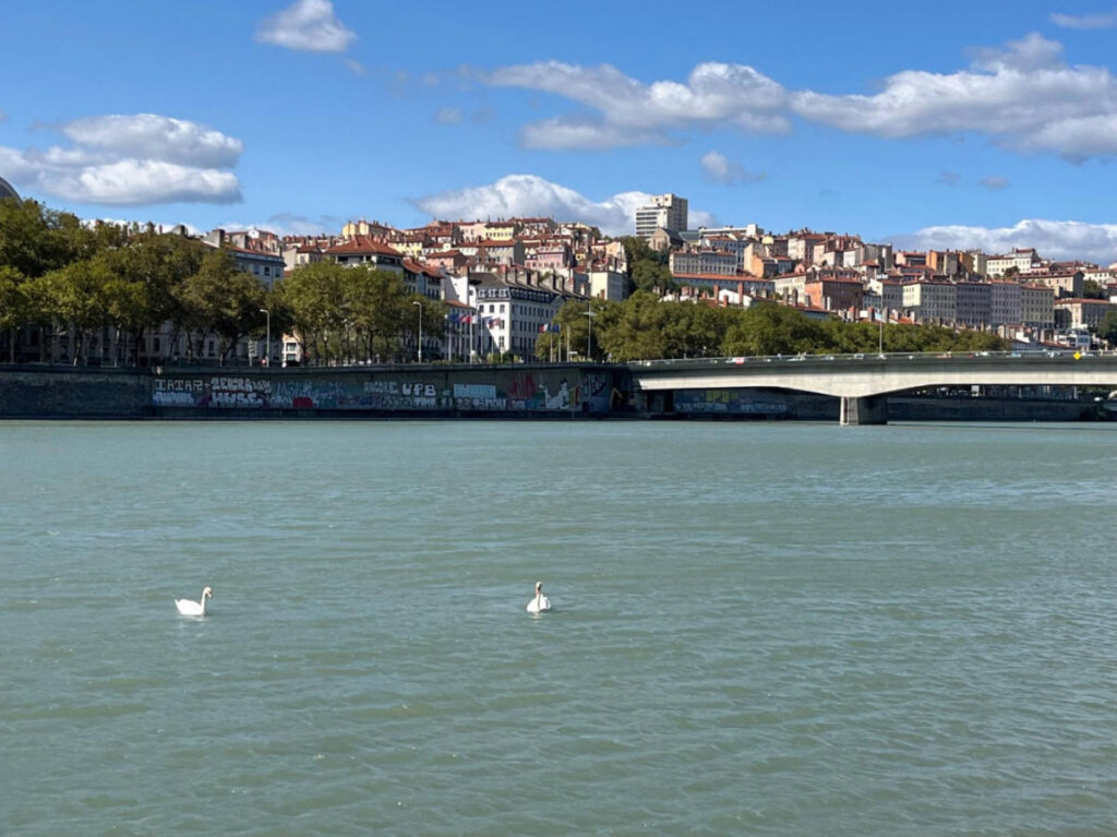 View while kayaking at Lyon