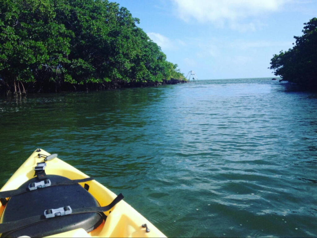 View of the kayak on the canal in Key Largo