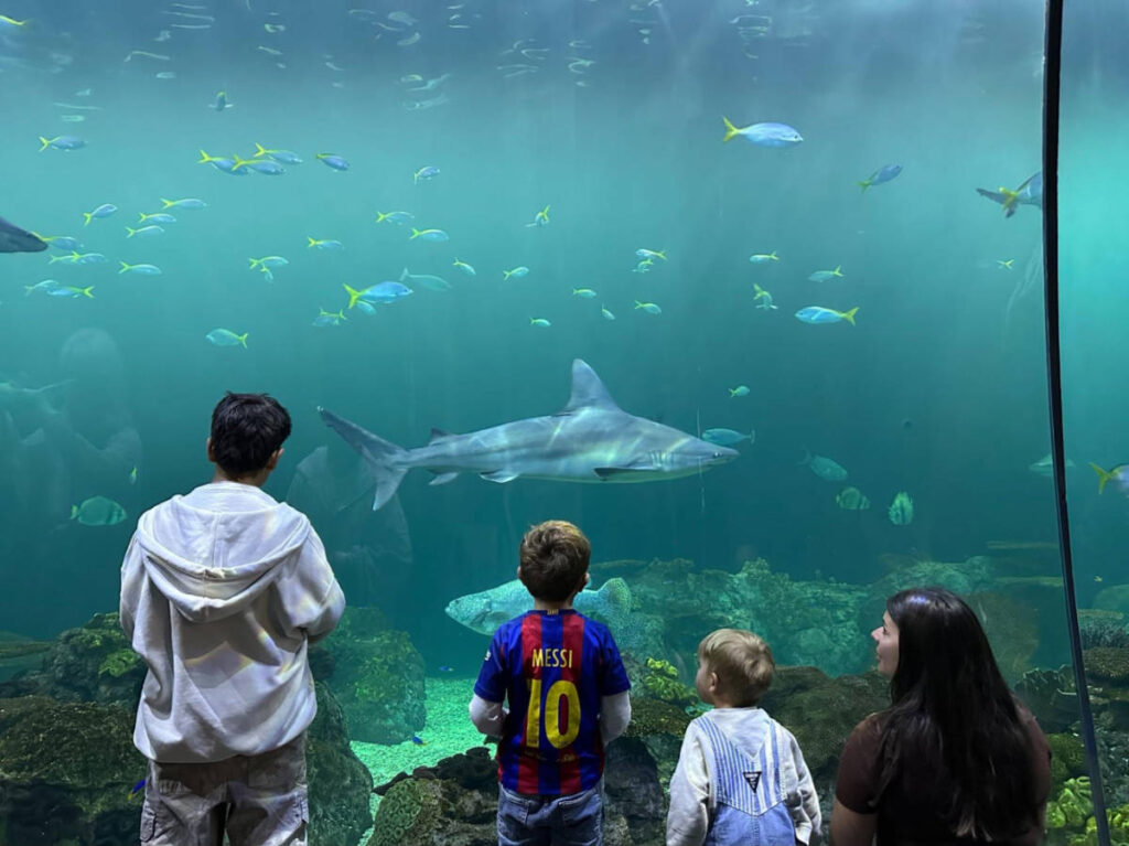 The kids admiring the fishes inside the aquarium