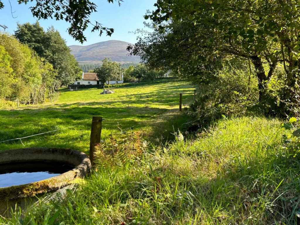 View of the green countryside in Killarney National Park