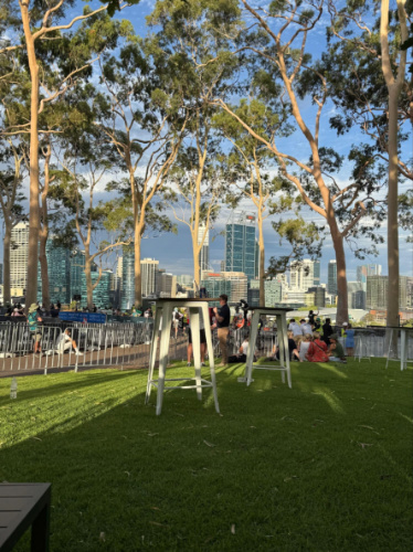 View of the city skyline from the Kings Park