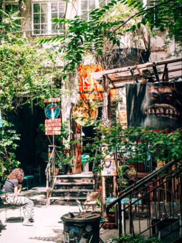 View of the greenery around the courtyard in Kino Central
