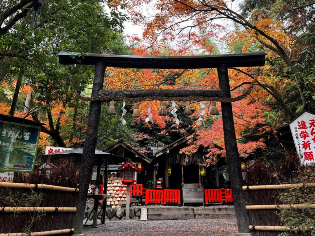View of the fall foliage around the Kuroki Torii Gate