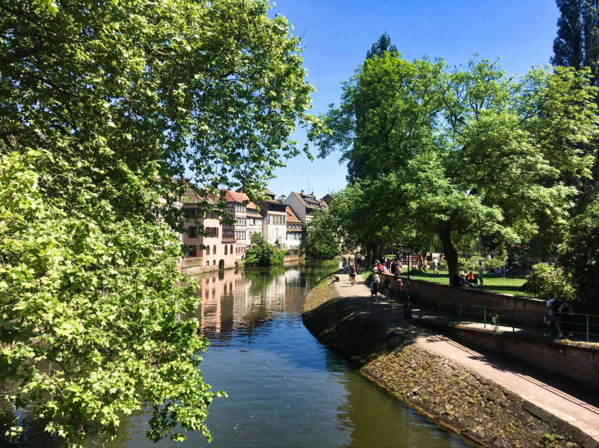 View of the houses and the greenery around the canal in La Petite France