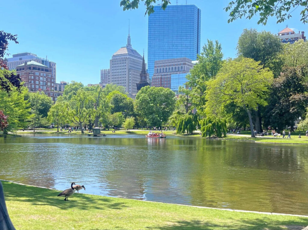 Clear blue sky over the lagoon at the Boston Public Garden