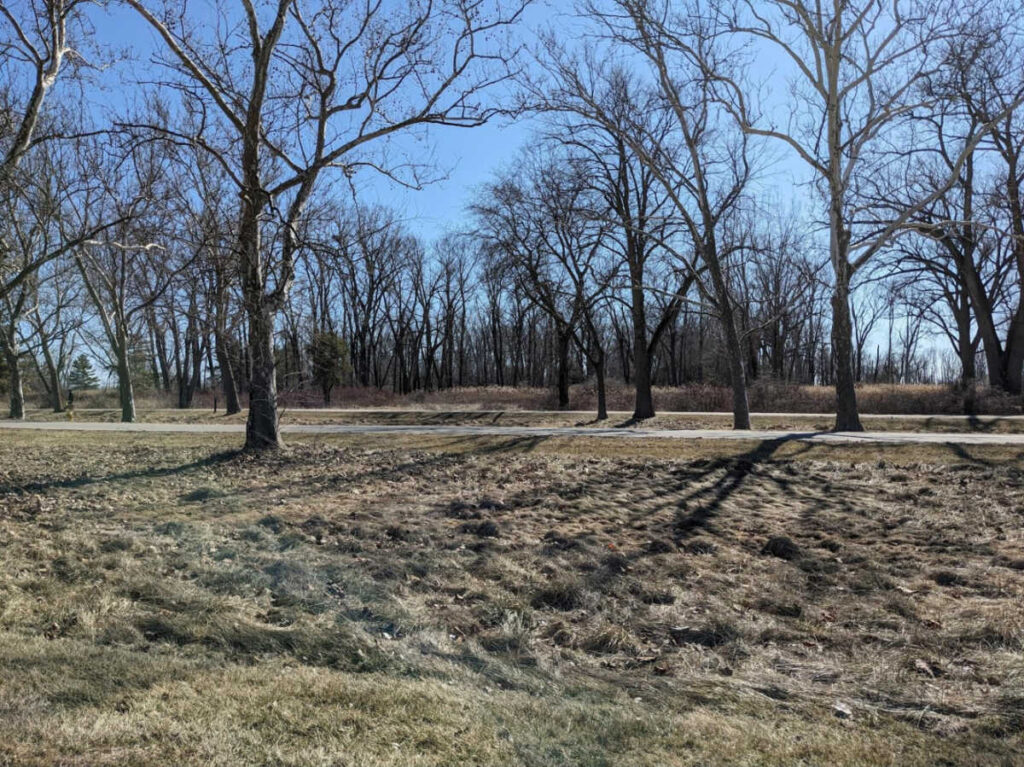 View of the trees around the Lake St. Clair Metropark