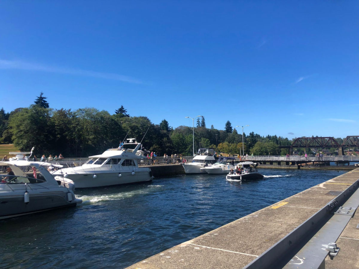 View of boats moving through the Lake Washington Ship Canals
