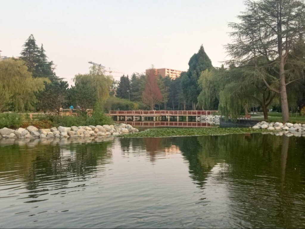Scenic view of the lake in Minoru Park