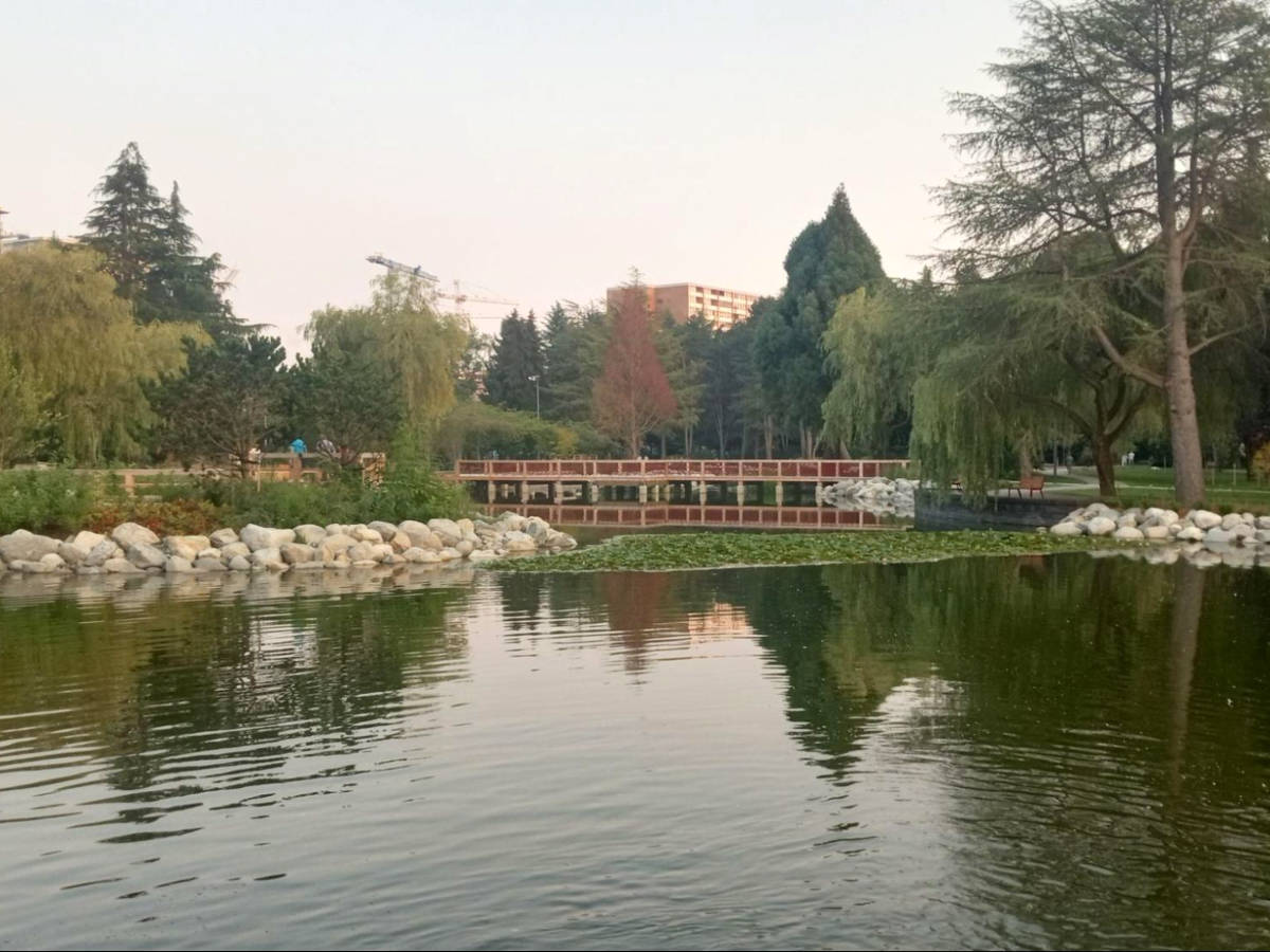 Scenic view of the lake in  Minoru Park