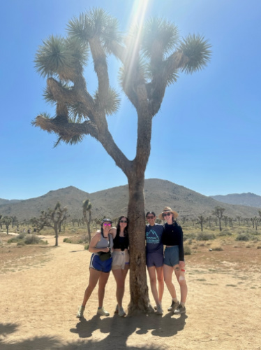The author Laura McFarland and her friends posing for a photo next to a tall Joshua Tree on a sunny day
