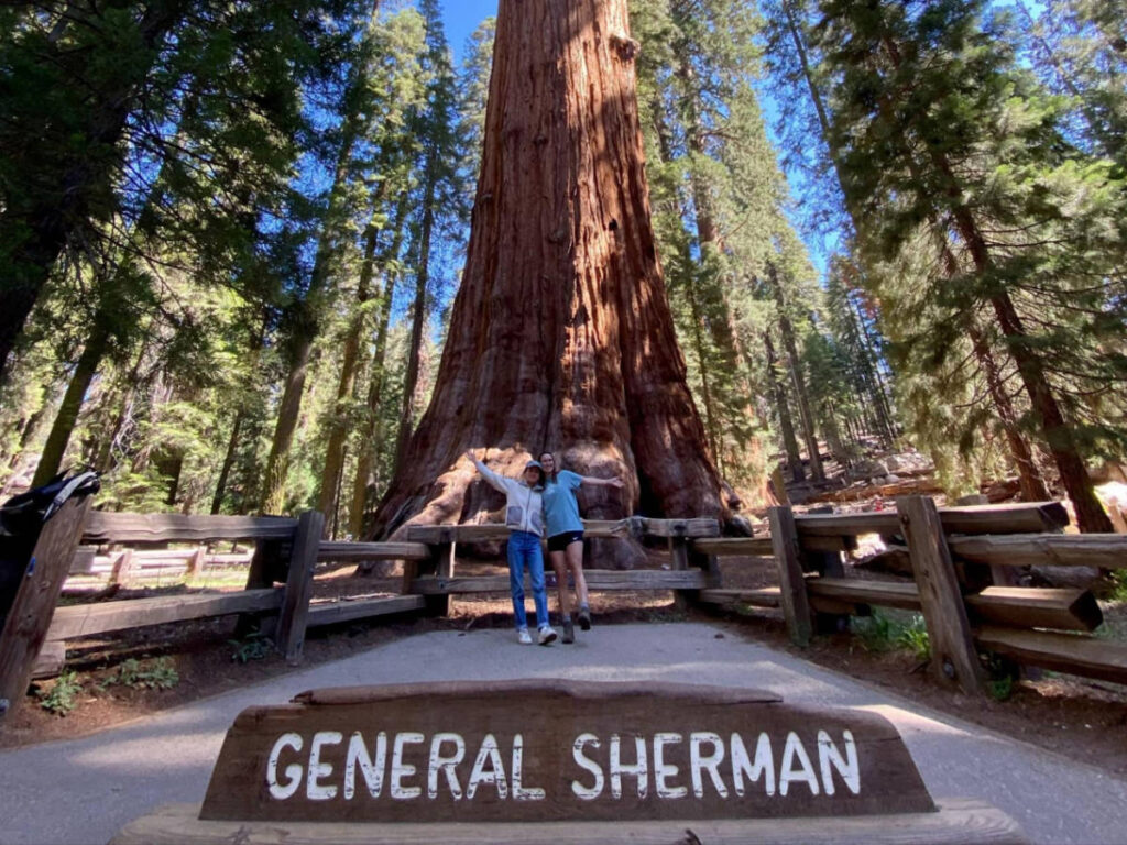 The author Laura McFarland and her partner posing for a photo in front of the huge tree  at the General Sherman